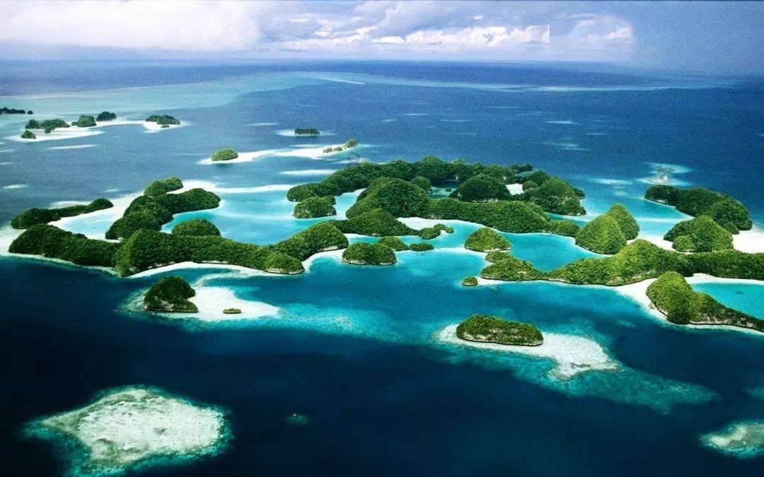 鸭鹅浆膜炎怎么治？游戏画面